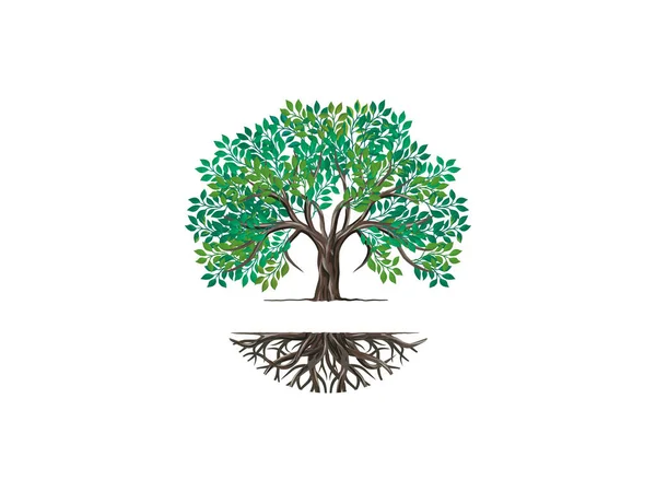 Pohon Dan Akar Logo Vektor Pohon Dengan Bentuk Bulat - Stok Vektor