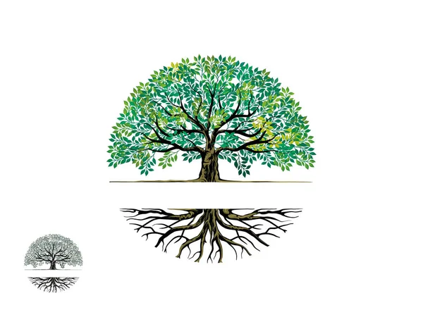 円形の木と根のロゴテンプレート中央には文字や名前のスペースがあります — ストックベクタ