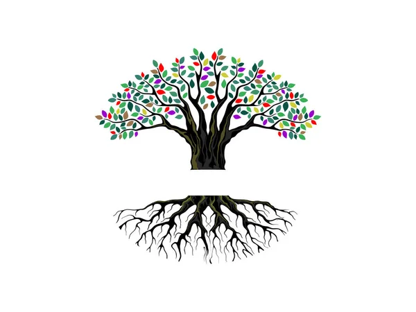 Baum Und Wurzeln Logo Vorlage Mit Bunten Blättern Editierbarer Vektor — Stockvektor