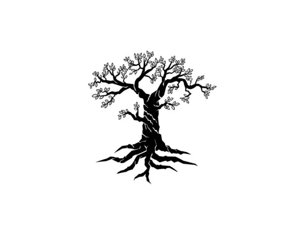 Διάνυσμα Εικονιδίου Ελιάς Δένδρο Και Ρίζες Απομονωμένες Λευκό — Διανυσματικό Αρχείο