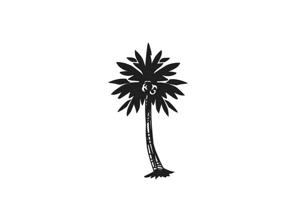 Palmiye Ağacı Vektörü Doğa Simgesi Yazdırılabilir Resim Logo Tasarımı Için — Stok Vektör