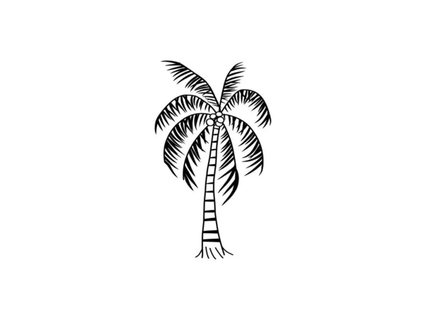 Palmiye Ağacı Vektör Çizimlerinin Çizimi — Stok Vektör