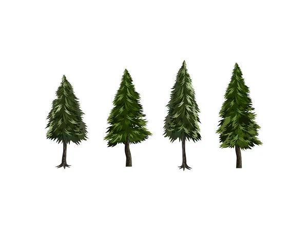 Fir Pine Spruce Tree Vector Isolated Set Forest Trees White — Stock Vector