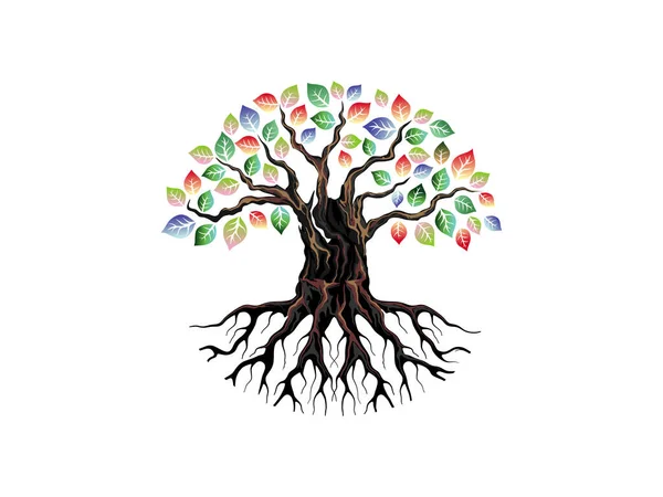 Alten Lebendigen Baum Logo Design Regenbogenfarbe Blätter Wurzelvektor — Stockvektor