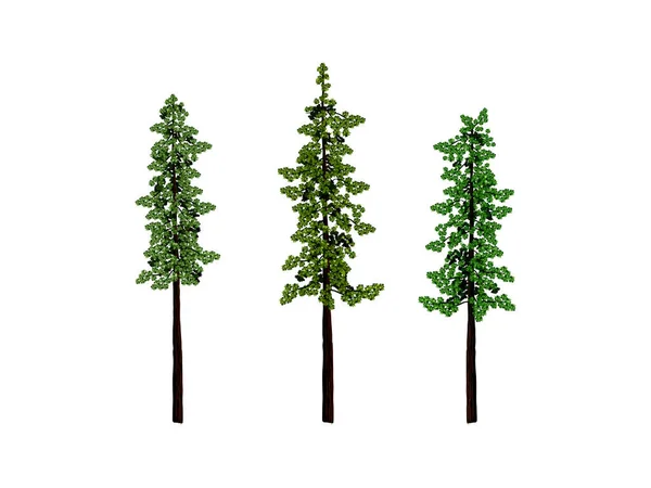 Ilustrasi Vektor Pohon Redwood Dengan Gaya Gambar Tangan - Stok Vektor