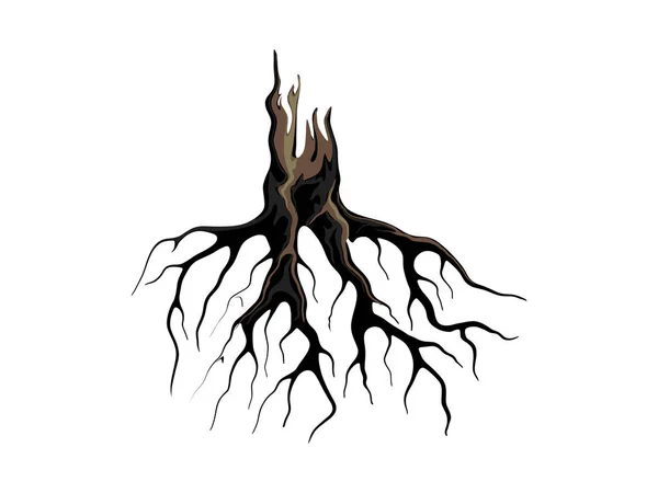 Starożytne Korzenie Drzewa Ręka Rysunek Wektor Ilustracja — Wektor stockowy