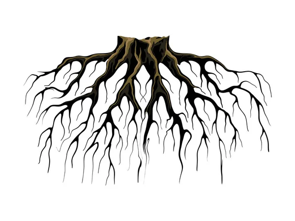 Abstraktní Vektor Loga Kořene Koncepce Silných Kořenů — Stockový vektor