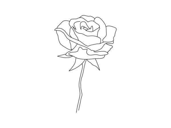 Rosa Flor Linha Mão Desenho Esboçando Flor Para Colorir Livro —  Vetores de Stock