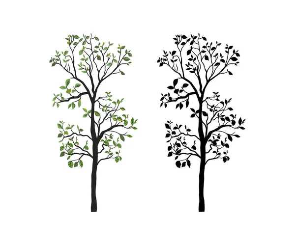 Wektor Drzewa Tekowego Drzewo Tekowe Różnymi Modelami Kolorów — Wektor stockowy