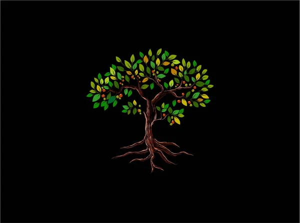 Φορέας Οπωροφόρων Δένδρων Mangosteen Απομονωμένος Μαύρο Φόντο — Διανυσματικό Αρχείο