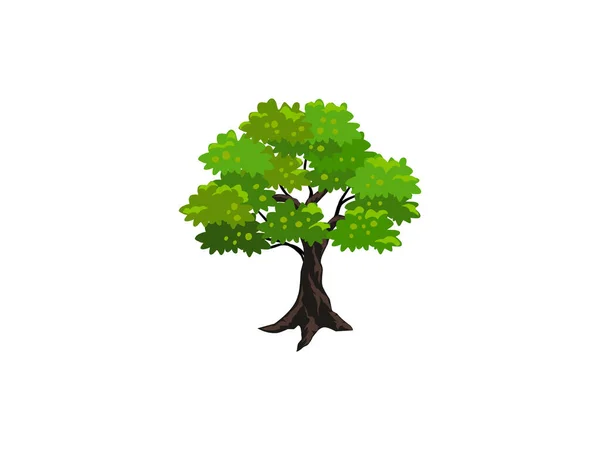 Handritning Olivträd Vektor Isolerad — Stock vektor