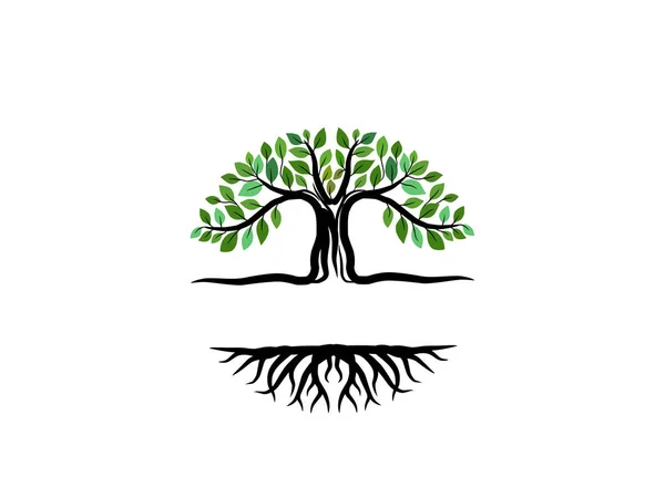 Grüner Baum Mit Wurzeln Vektorillustration — Stockvektor