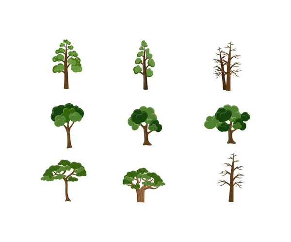 Conjunto Árvores Florestais Verdes — Vetor de Stock