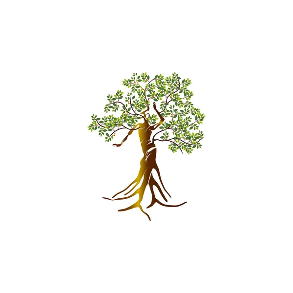 Frau Baum Trockenheit Vektorillustration Mangroven Pflanze — Stockvektor