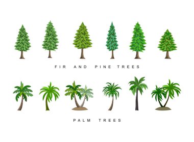 Çizgi film tarzında çam, köknar, ladin ve palmiye ağaçları koleksiyonu