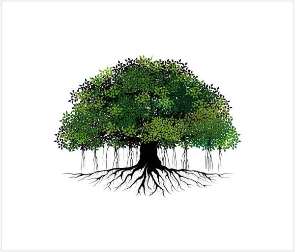 Ilustração Vetorial Árvore Raízes Banyan Tree Manguezal —  Vetores de Stock