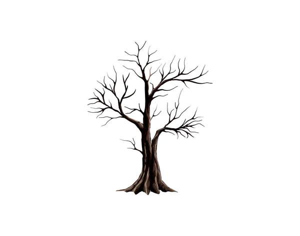 Ilustrasi Vektor Pohon Kering Terisolasi Pada Warna Putih - Stok Vektor