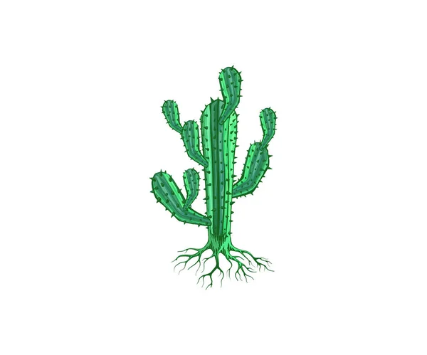 Fehér Alapon Izolált Kaktuszfa Vektor — Stock Vector
