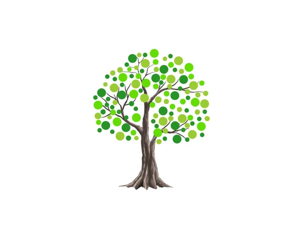 Unikalny Elegancki Wzór Wektora Logo Drzewa Bańki — Wektor stockowy