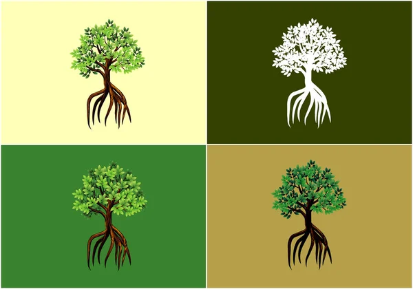 Mangrovenbaum Mit Langen Wurzeln Sammlung Vektor Illustration Mit Verschiedenen Farbigen — Stockvektor