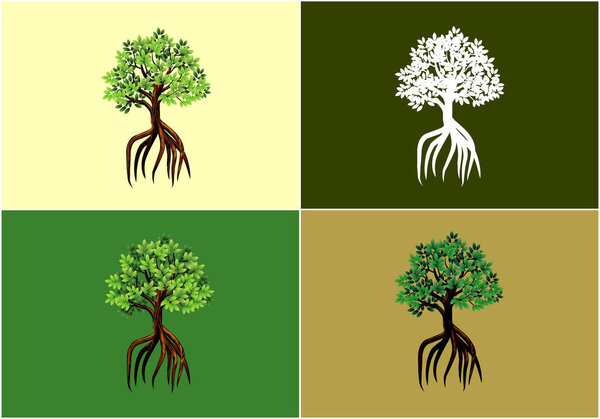 Mangrove tree with long roots collection vector illustration with various color background.