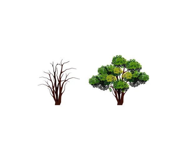 Zbiór Drzew Liściastych Liściastych Wektor Izolowany Białym — Wektor stockowy