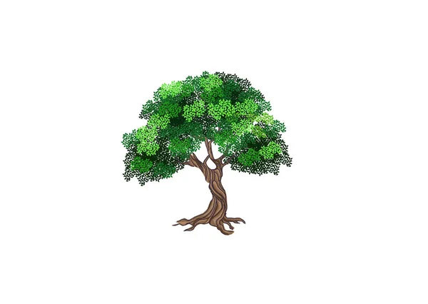 Элегантный Вектор Дерева Дуб Листьями Корнями — стоковый вектор