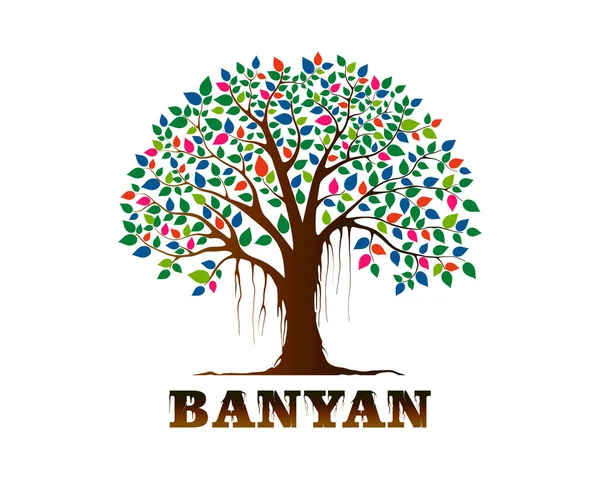 Gökkuşağı yapraklı Banyan ağacı logo vektör çizimi. Düzenlenebilir logo ve yazdırmaya hazır
