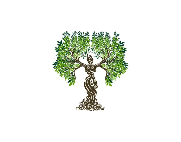 Soyut Nsan Ağacı Logosu Çemberli Soyut Kadın Şekilli Eşsiz Ağaç — Stok Vektör