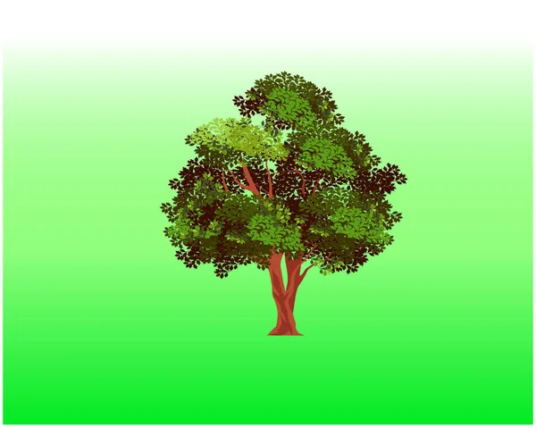 Olivenbaum Vektorillustration Isoliert Großer Baum Mit Wurzeln Baum Des Lebens — Stockvektor