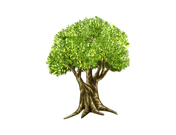Illustration Uråldriga Träd Logotyp Vektor — Stock vektor