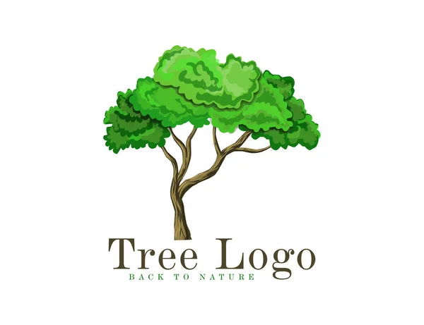 Baum Logo Design Vektor Isoliert Akazienbaum — Stockvektor