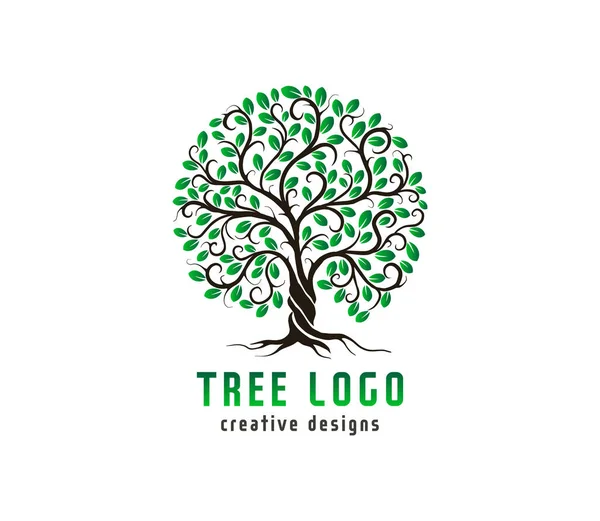 Designvorlagen Für Luxusbaum Logos Vektor Isoliert Baum Mit Runder Form — Stockvektor