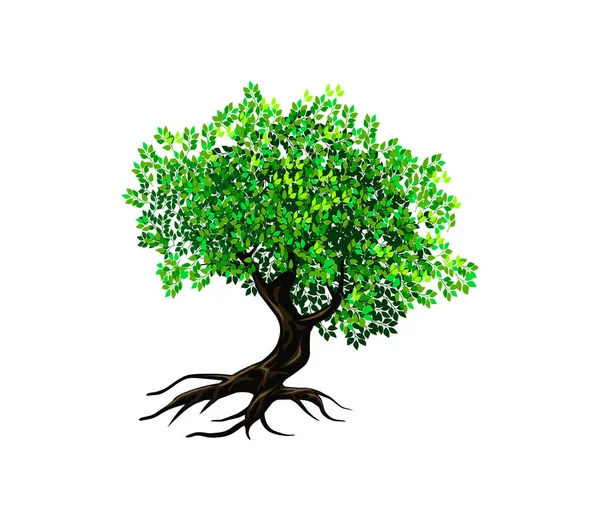 古代の木のロゴベクトル図 白い背景に隔離された木のアイコンベクトル — ストックベクタ