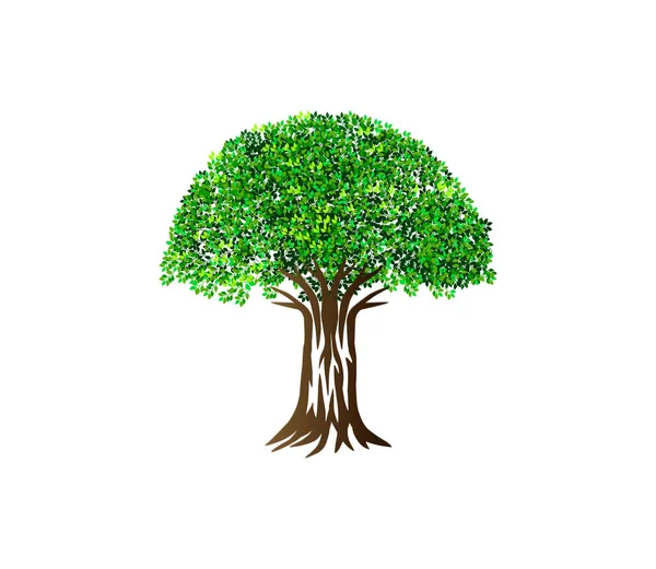 Antik Ağaç Logo Vektör Çizimi Beyaz Arkaplanda Izole Ağaç Simgesi — Stok Vektör