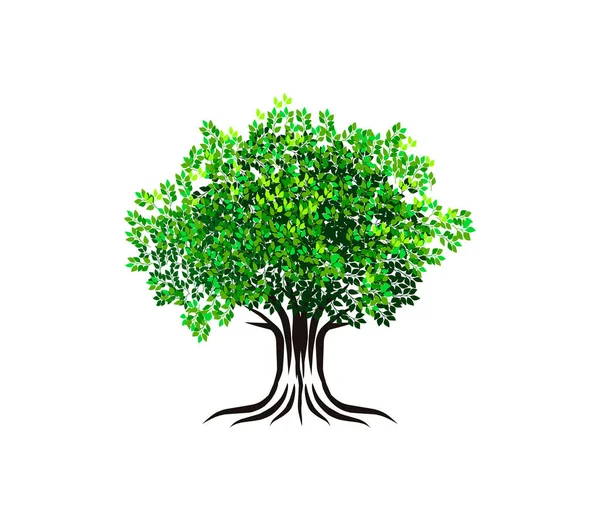 Antik Ağaç Logo Vektör Çizimi Beyaz Arkaplanda Izole Ağaç Simgesi — Stok Vektör