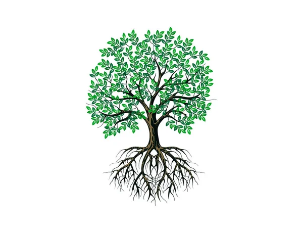 Imagen Del Logotipo Root Tree Silueta Vectorial Árbol Raíces Manglar — Vector de stock