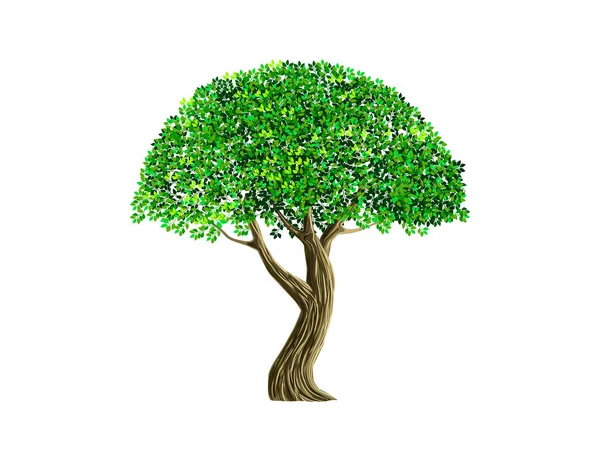 Illustration Uråldriga Träd Logotyp Vektor — Stock vektor