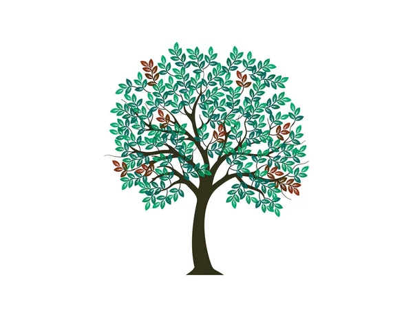 Sanat Klasik Tarzda Soyut Ağaç Logosu Tasarımı Soyut Yapraklar Resimleme — Stok Vektör