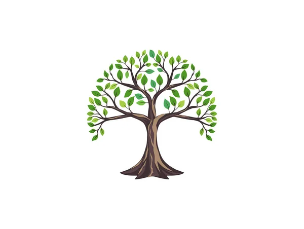 Çember Şeklinde Meşe Ağacı Logosu — Stok Vektör