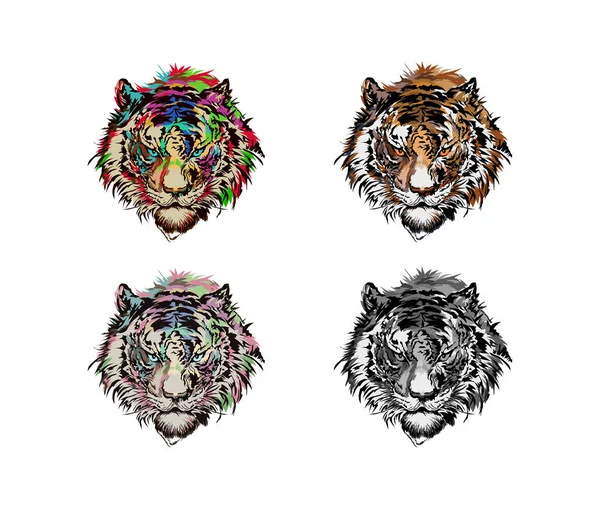 Tiger Ansikte Illustration Konst — Stock vektor