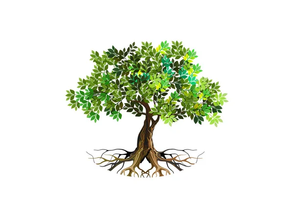 Vektorillustrationen Für Baum Und Wurzeln — Stockvektor