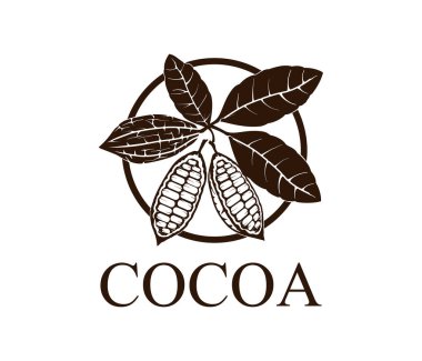 Basit kakao afişi, vektör illüstrasyonu 