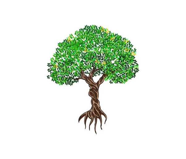 Yeşil Kökleri Olan Ağaç — Stok Vektör