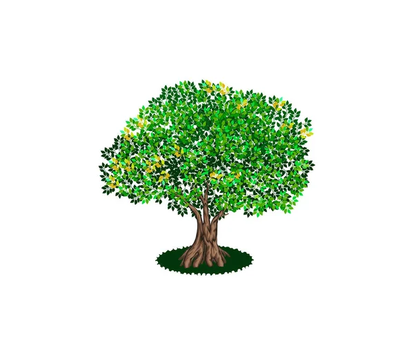 Vector Image Tree — Stock Vector