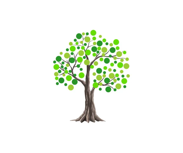 Beyaz Arkaplanda Izole Edilmiş Yeşil Ağaç — Stok Vektör