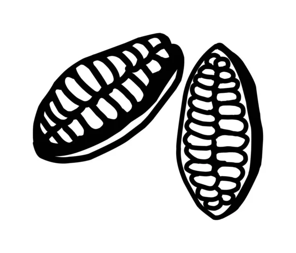 Semplice Banner Cacao Illustrazione Vettoriale — Vettoriale Stock