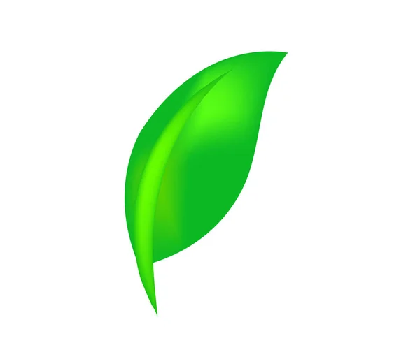 Verde Folha Ecologia Natureza Elemento Vetor —  Vetores de Stock