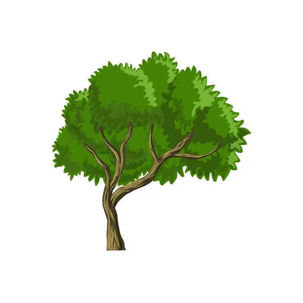 Απομονωμένο Σχέδιο Κινουμένων Σχεδίων Δέντρο — Διανυσματικό Αρχείο