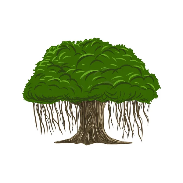 Drzewo Liśćmi Izolowany Białym Tle Ilustracja Wektora — Wektor stockowy